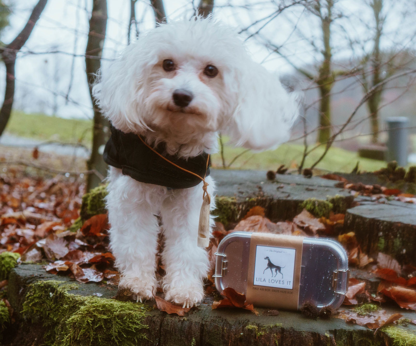 Erste-Hilfe-Set für Hunde - Verbandskasten mit First Aid Balsam